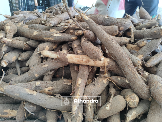 Prefeitura de Alhandra distribui as famílias assistidas pelo CRAS, mais 3 toneladas de alimentos da agricultura familiar por meio do PAA Conab