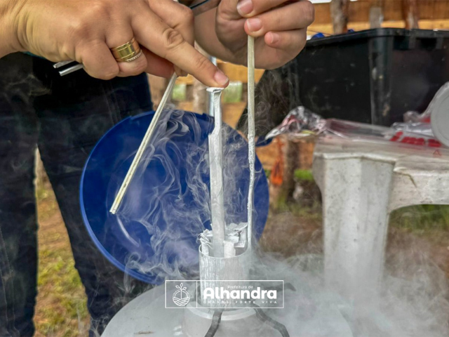 Alhandra e Conafer avançam com o Programa Mais Pecuária Brasil e nesta quinta-feira foram realizadas inseminações em animais de corte e de leite
