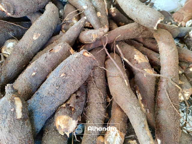 Prefeitura de Alhandra distribui 1,7 toneladas de alimentos da agricultura familiar por meio do PAA-Conab às famílias assistidas pelo CRAS
