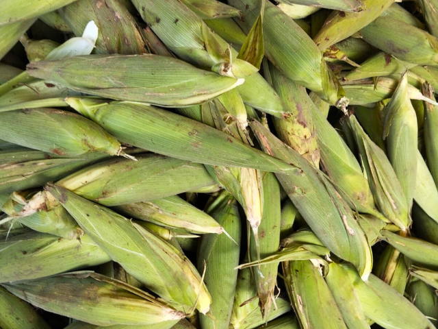 Alhandra distribui mais de 1,3 toneladas de alimentos da Agricultura Familiar a famílias assistidas pelo CRAS; produtos adquiridos por meio do PAA Conab