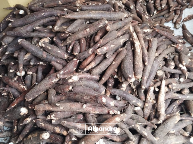 Alhandra distribui mais de 2 toneladas de alimentos da Agricultura Familiar a famílias assistidas pelo CRAS; produtos adquiridos por meio do PAA Conab