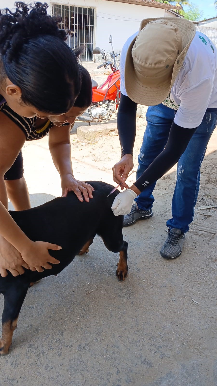 Campanha de Vacinação Antirrábica avança pelos bairros de Alhandra e reforça proteção de cães e gatos